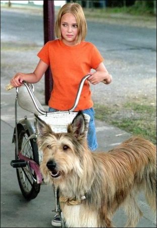 Because of Winn-Dixie (2005) - AnnaSophia Robb