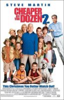 Cheaper by the Dozen 2 Movie Poster (2005)