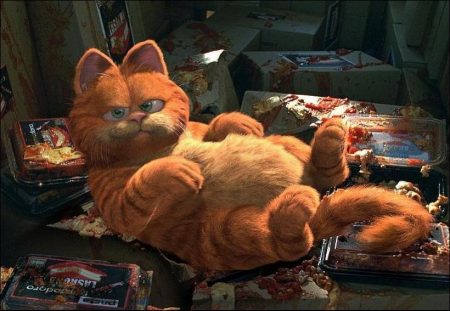 Garfield, The Movie (2004)