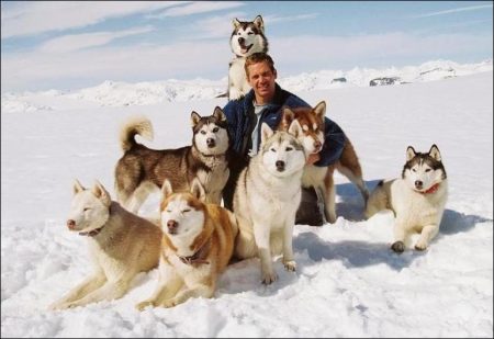 Eight Below (2006)