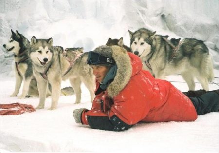 Eight Below (2006)