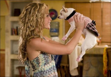 Beverly Hills Chihuahua (2008) - Piper Perabo