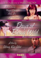 Days of Being Wild Movie Poster (1990)