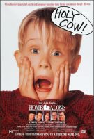 Home Alone Movie Poster (1990)