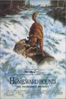Homeward Bound: The Incredible Journey Movie Poster (1993)