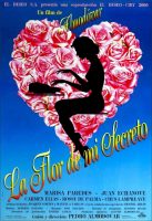 The Flower of My Secret Movie Poster (1996)
