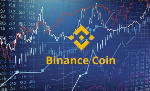 What is Binance Coin (BNB)?