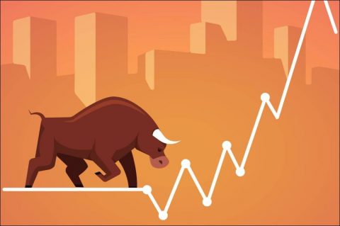 What is bull market and bull run in cryptos?