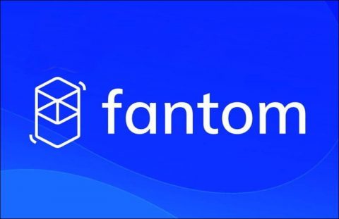 What is Fantom (FTM) and what is it used for?