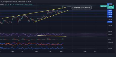 Polkadot Price Analysis