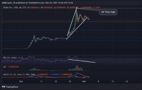 Shiba Inu Price Analysis