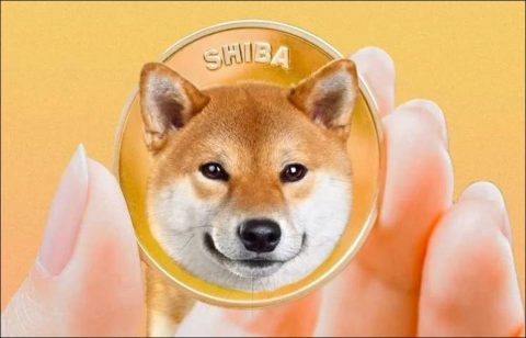 Kraken announces to start listing Shiba Inu (SHIB) on November 3