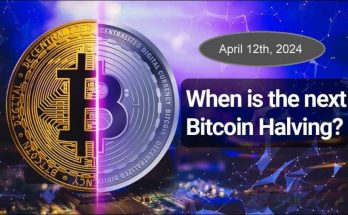 A look back at the Bitcoin halvings