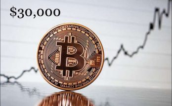 Bitcoin price rises to $30,000 again