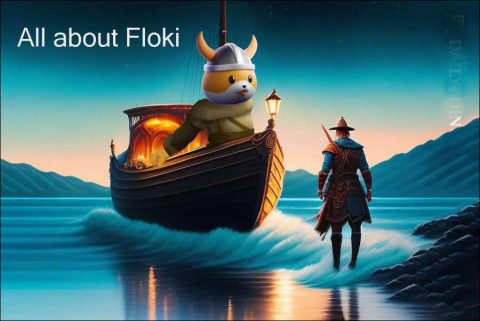 All about Floki