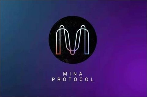 All about Mina protocol (MINA)?