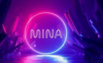Introducing MINA token project