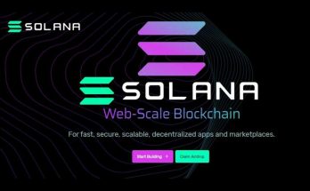 The future of Solana (SOL) coin