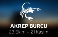 Akrep Burcu 2020 Falınız