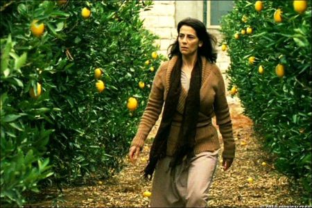 Overview of Israeli and Palestinian Cinemas - Lemon Tree