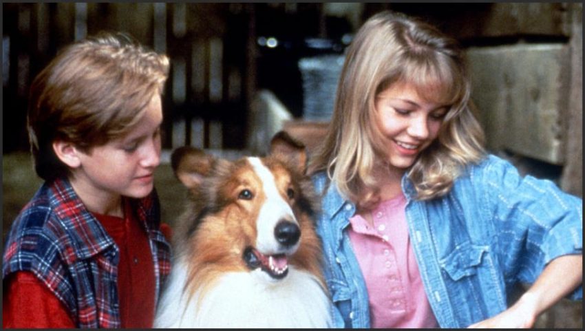 Lassie 1994 90 S Movie Nostalgia